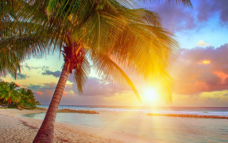 закат, море, пляж, тропики, sunset, sea, beach, tropics
