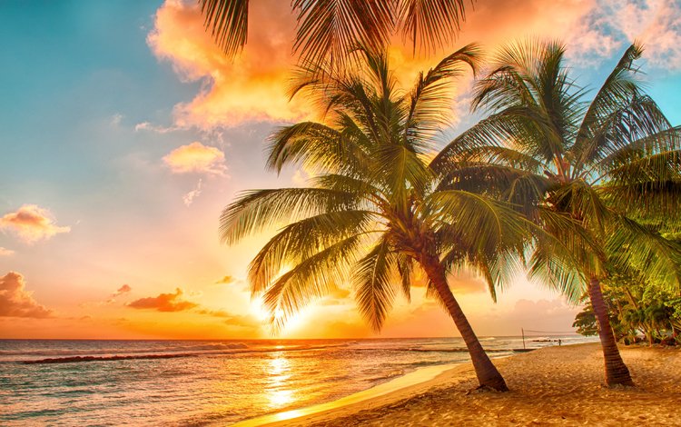 небо, закат, море, песок, пляж, пальмы, тропики, the sky, sunset, sea, sand, beach, palm trees, tropics