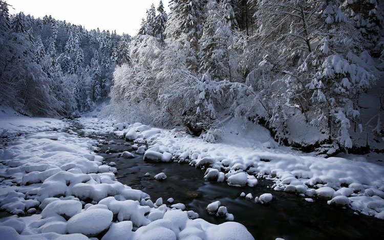 река, снег, природа, лес, зима, river, snow, nature, forest, winter