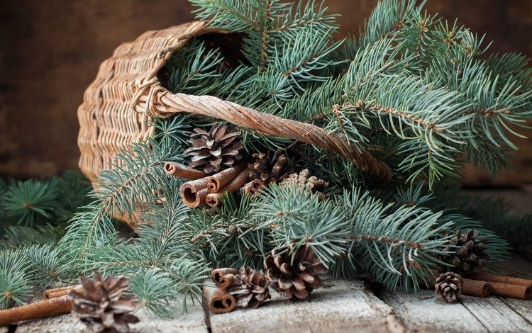 новый год, елка, хвоя, ветки, корица, корзина, рождество, шишки, new year, tree, needles, branches, cinnamon, basket, christmas, bumps