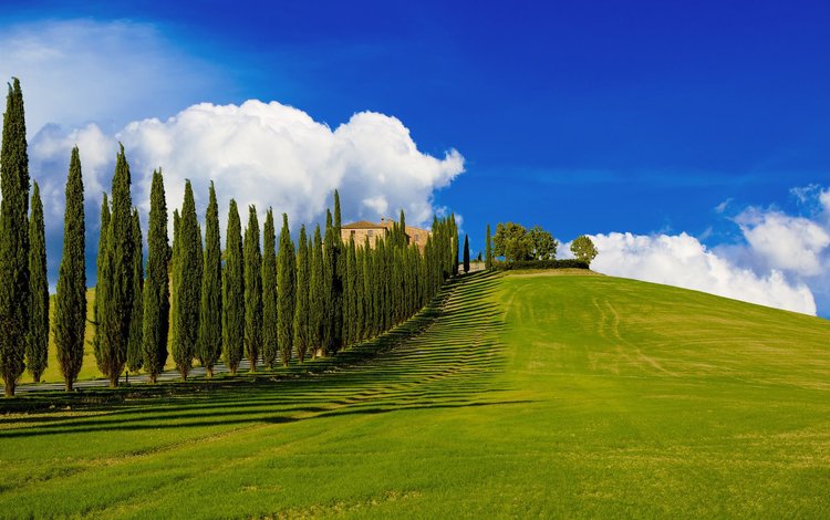 холмы, пейзаж, италия, ферма, тоскана, кипарисы, hills, landscape, italy, farm, tuscany, cypress