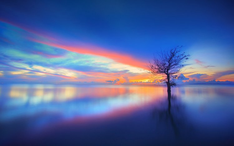 небо, облака, озеро, дерево, закат, отражение, пейзаж, chaiyun, the sky, clouds, lake, tree, sunset, reflection, landscape