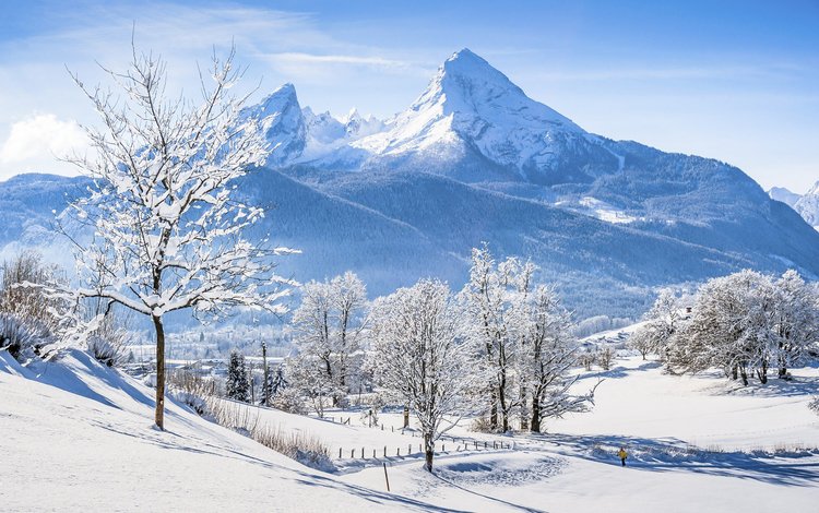 деревья, горы, снег, природа, зима, альпы, бавария, trees, mountains, snow, nature, winter, alps, bayern