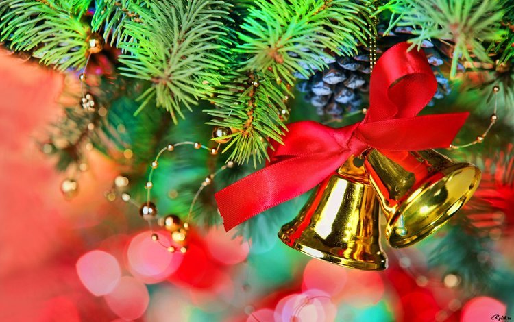 новый год, елка, хвоя, колокольчики, рождество, шишки, декор, new year, tree, needles, bells, christmas, bumps, decor
