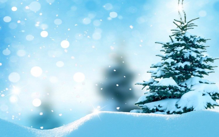 снег, елка, зима, снежинки, сугробы, ёлочка, snow, tree, winter, snowflakes, the snow, herringbone