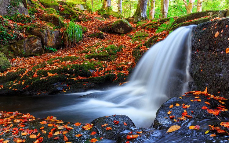 река, природа, лес, листья, водопад, осень, frederick bancale, river, nature, forest, leaves, waterfall, autumn