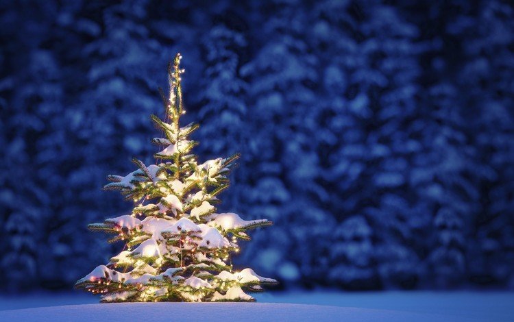 ночь, снег, новый год, елка, лес, зима, рождество, гирлянда, night, snow, new year, tree, forest, winter, christmas, garland