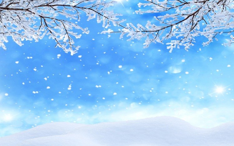 снег, зима, макро, ветки, snow, winter, macro, branches