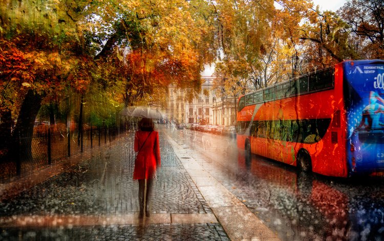 деревья, девушка, город, осень, улица, дождь, зонт, автобус, trees, girl, the city, autumn, street, rain, umbrella, bus