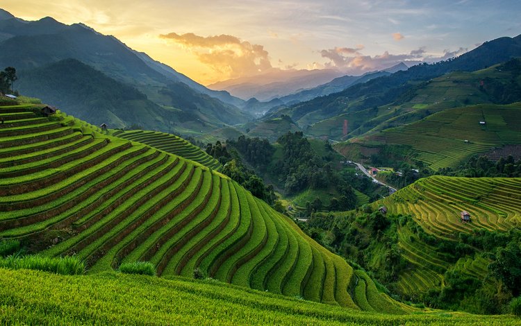 холмы, природа, закат, пейзаж, плантации, вьетнам, chanwity, му кан чай, hills, nature, sunset, landscape, plantation, vietnam, mu cang tea