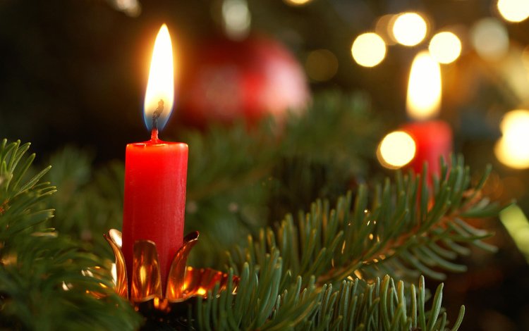 новый год, елка, хвоя, ветки, свеча, рождество, new year, tree, needles, branches, candle, christmas