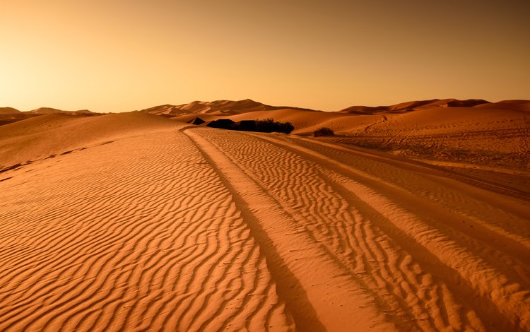 пейзаж, песок, пустыня, следы, дюны, landscape, sand, desert, traces, dunes