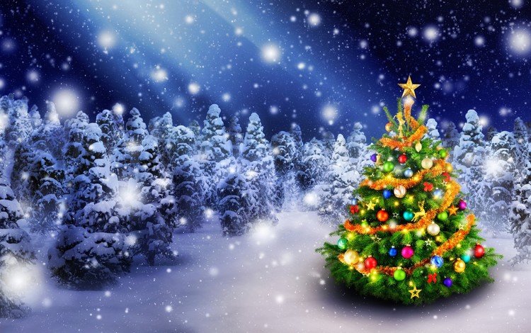 новый год, елка, лес, зима, рождество, new year, tree, forest, winter, christmas