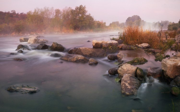 река, природа, туман, осень, river, nature, fog, autumn