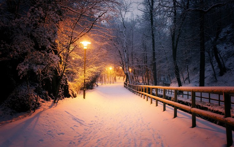 свет, ночь, фонари, природа, зима, парк, mario zanella, light, night, lights, nature, winter, park