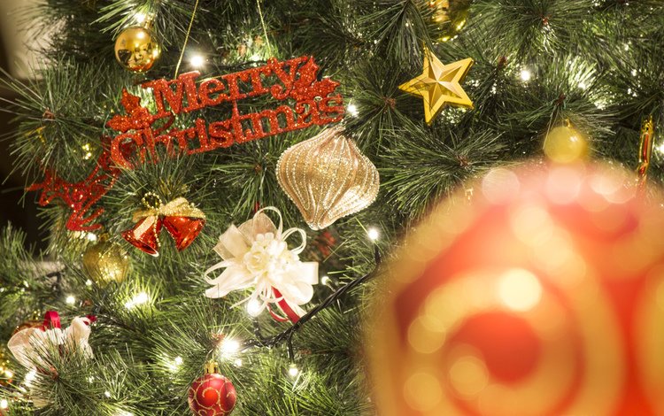 новый год, елка, рождество, елочные игрушки, гирлянда, mascolo stefano, new year, tree, christmas, christmas decorations, garland