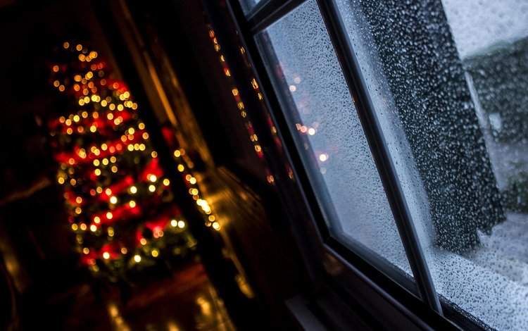 новый год, елка, окно, рождество, огоньки, гирлянда, боке, alvaro miranda, new year, tree, window, christmas, lights, garland, bokeh