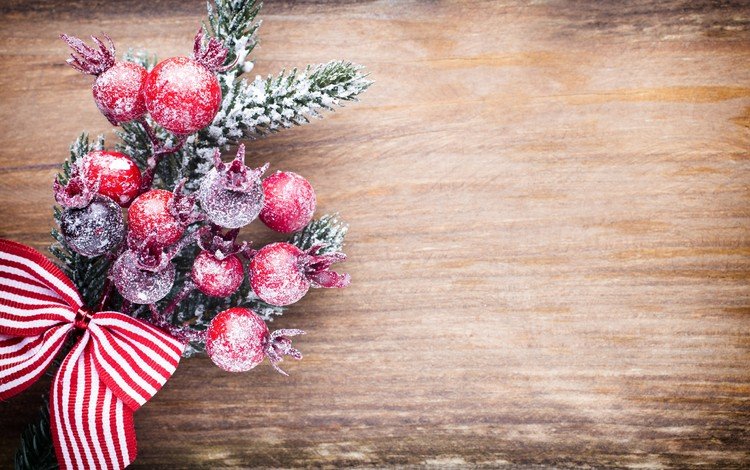 ветка, новый год, елка, ягоды, рождество, елочные игрушки, бант, branch, new year, tree, berries, christmas, christmas decorations, bow
