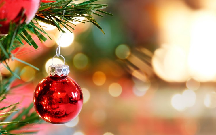 новый год, елка, игрушка, шар, рождество, new year, tree, toy, ball, christmas