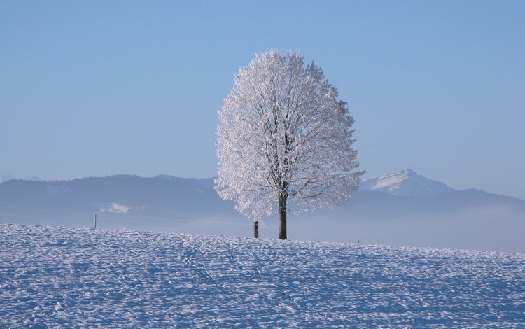 горы, снег, дерево, зима, горизонт, холодно, mountains, snow, tree, winter, horizon, cold
