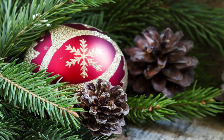 новый год, елка, хвоя, шар, рождество, шишки, елочные игрушки, new year, tree, needles, ball, christmas, bumps, christmas decorations