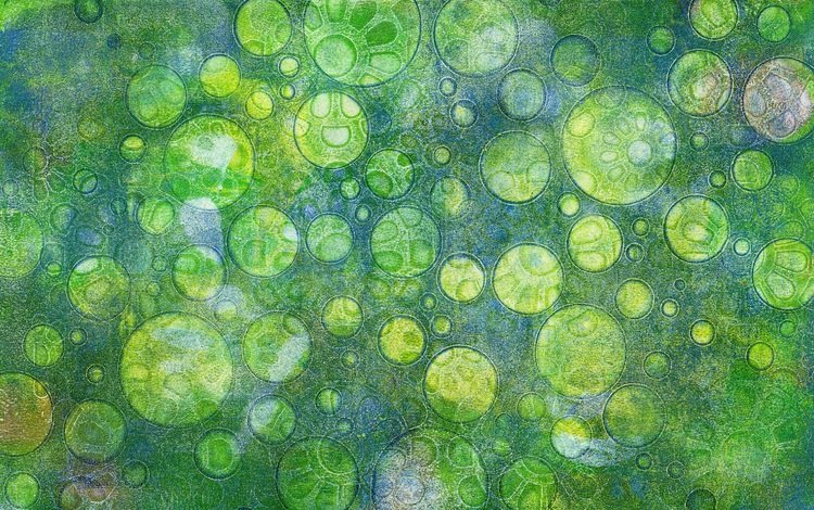 абстракция, зелёный, узор, цвет, форма, круги, abstraction, green, pattern, color, form, circles