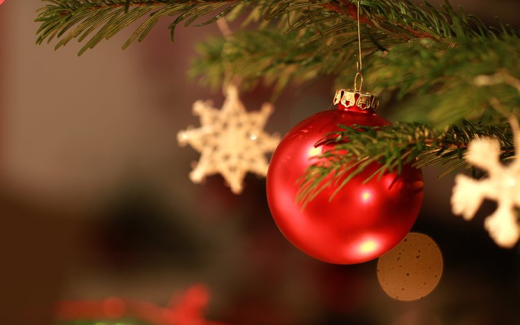 новый год, елка, звезды, шар, рождество, елочные игрушки, jonas haase, new year, tree, stars, ball, christmas, christmas decorations
