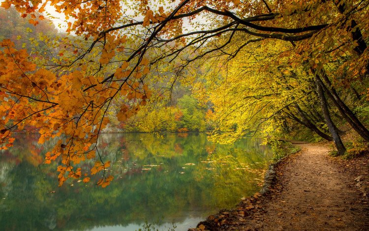озеро, природа, лес, осень, lake, nature, forest, autumn