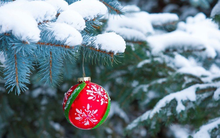 снег, новый год, елка, хвоя, шар, рождество, елочная игрушка, snow, new year, tree, needles, ball, christmas, christmas toy
