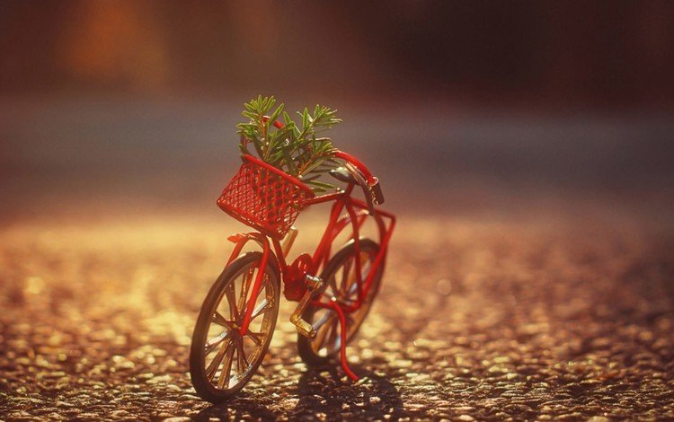 корзина, растение, велосипед, фигурка, basket, plant, bike, figure