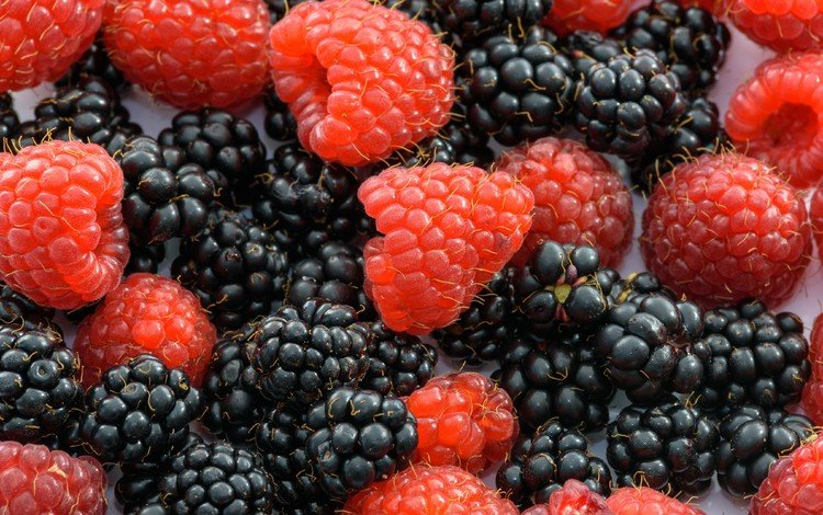 макро, малина, ягоды, ежевика, macro, raspberry, berries, blackberry
