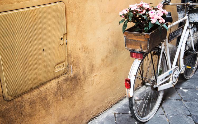 цветы, велосипед, ящик, flowers, bike, box