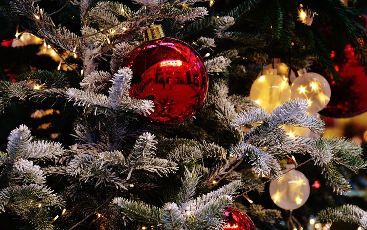 новый год, елка, шары, иней, рождество, елочные игрушки, гирлянда, new year, tree, balls, frost, christmas, christmas decorations, garland