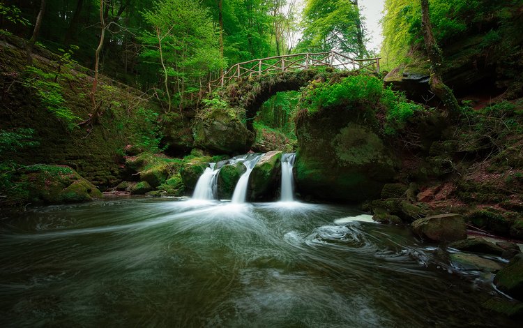 река, природа, лес, мост, водопад, olivier ferrari, river, nature, forest, bridge, waterfall