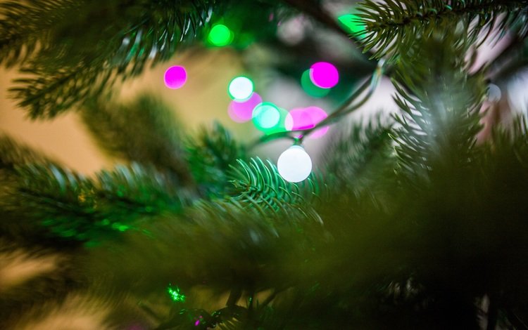 огни, хвоя, праздник, рождество, гирлянда, боке, lights, needles, holiday, christmas, garland, bokeh