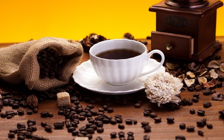 цветок, кофе, мешок, чашка, кофейные зерна, сахар, кофемолка, flower, coffee, bag, cup, coffee beans, sugar, coffee grinder