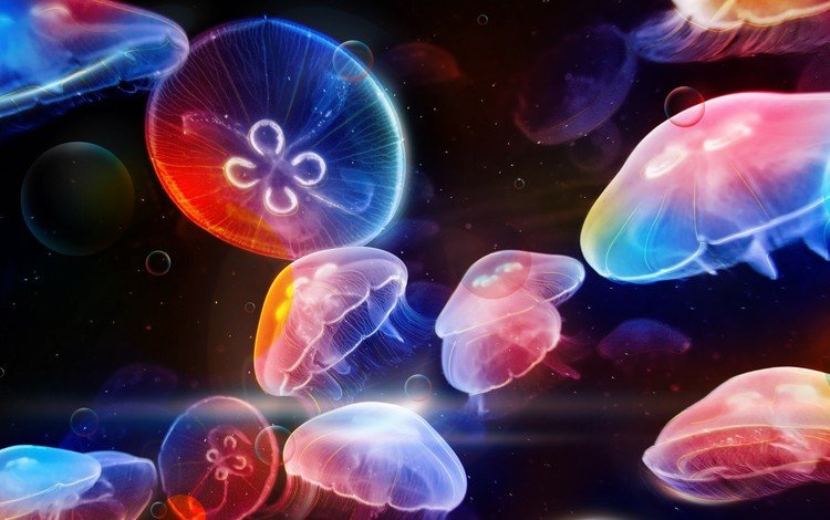 арт, медуза, медузы, подводный мир, art, medusa, jellyfish, underwater world