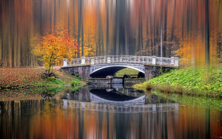 река, природа, лес, пейзаж, парк, мост, осень, боке, river, nature, forest, landscape, park, bridge, autumn, bokeh