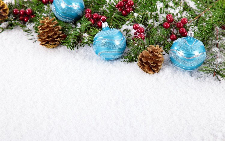 снег, новый год, рождество, шишки, елочные игрушки, snow, new year, christmas, bumps, christmas decorations
