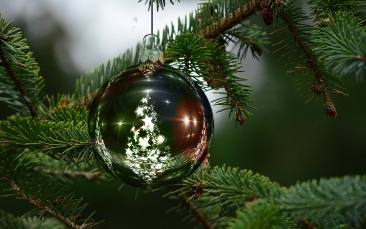 новый год, елка, хвоя, ветки, шар, рождество, new year, tree, needles, branches, ball, christmas