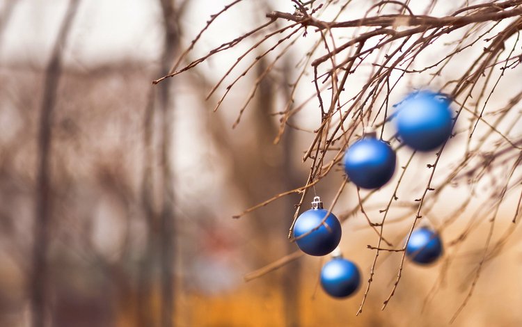 новый год, шары, ветки, рождество, new year, balls, branches, christmas
