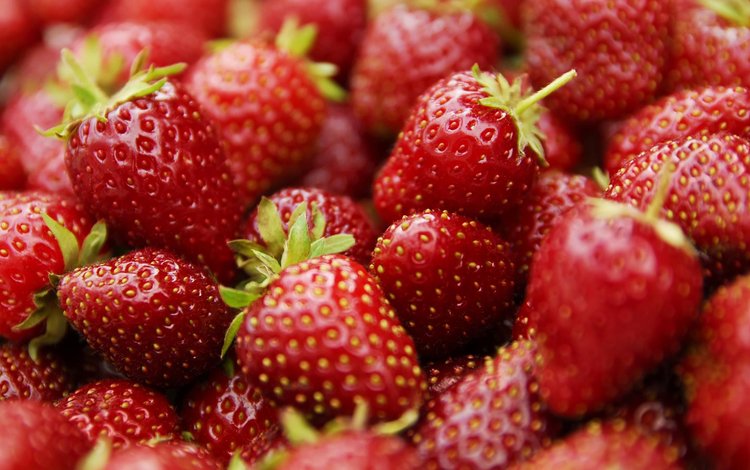 макро, клубника, ягоды, macro, strawberry, berries