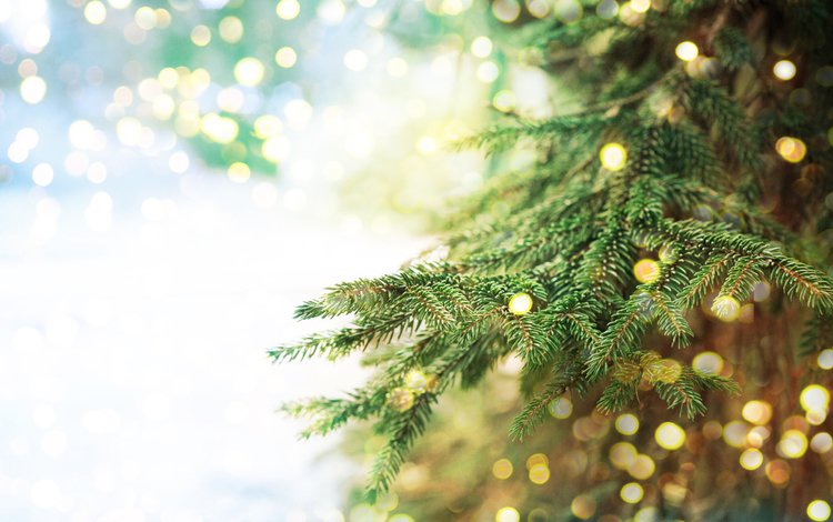 новый год, елка, хвоя, ветки, блики, рождество, боке, new year, tree, needles, branches, glare, christmas, bokeh