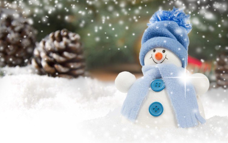 снег, новый год, снеговик, рождество, шишки, snow, new year, snowman, christmas, bumps