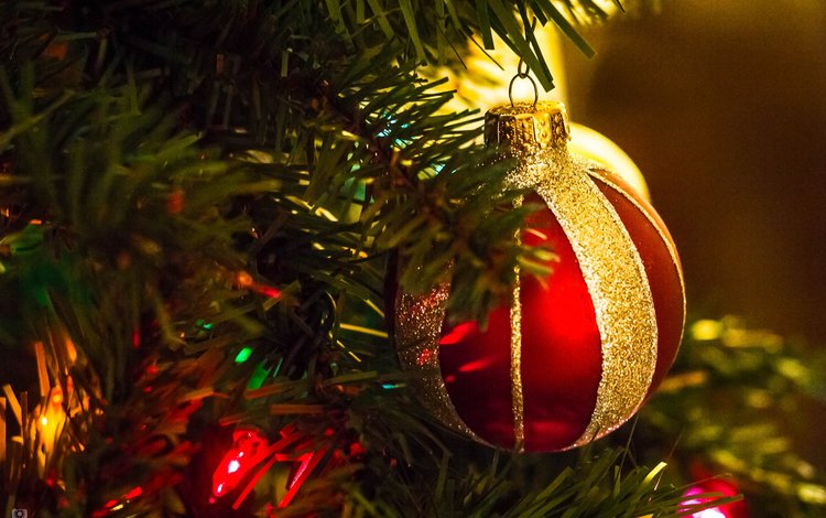 новый год, елка, шары, рождество, елочные игрушки, ann e. flugge, new year, tree, balls, christmas, christmas decorations