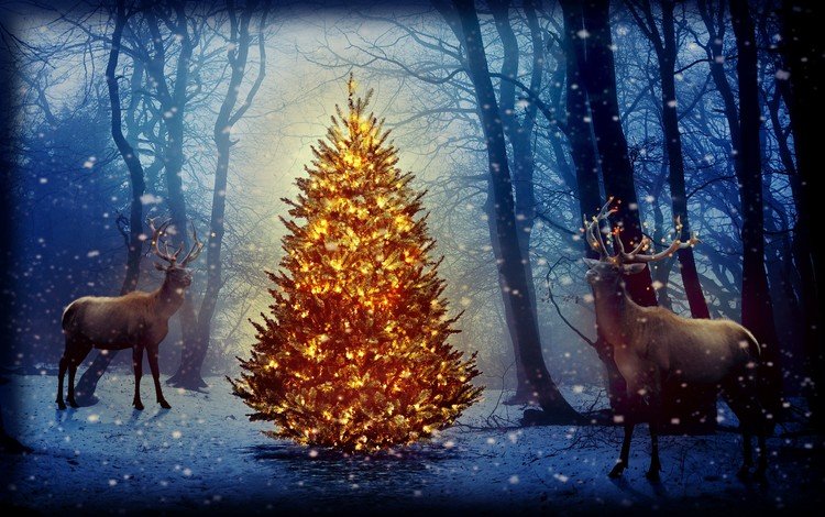 новый год, елка, лес, олени, рождество, new year, tree, forest, deer, christmas