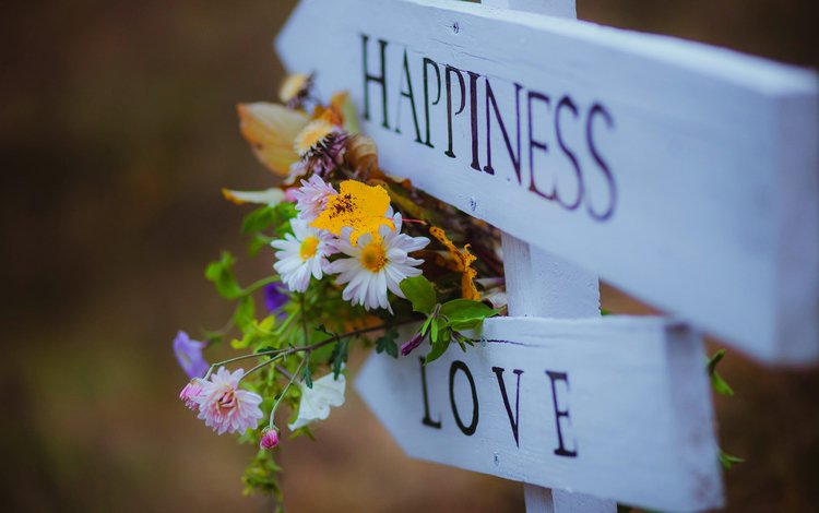 цветы, любовь, букет, счастье, полевые цветы, указатель, flowers, love, bouquet, happiness, wildflowers, index
