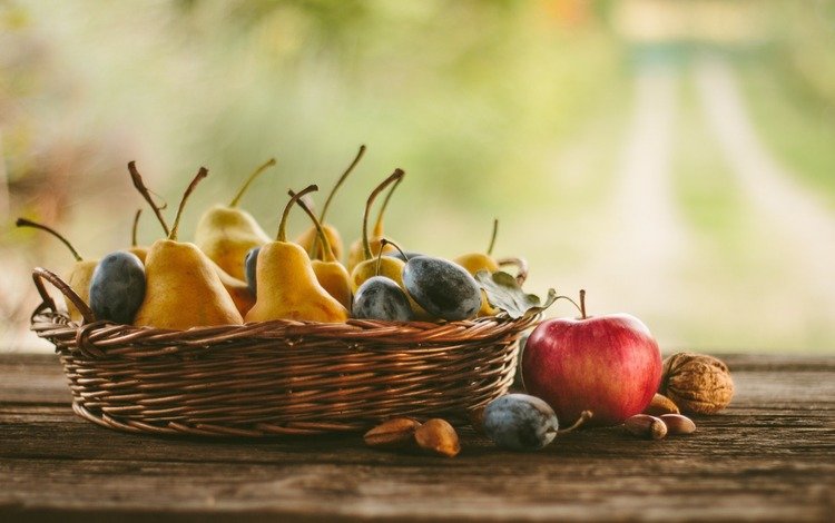 орехи, фрукты, яблоки, груши, сливы, осенний урожай, nuts, fruit, apples, pear, plum, autumn harvest