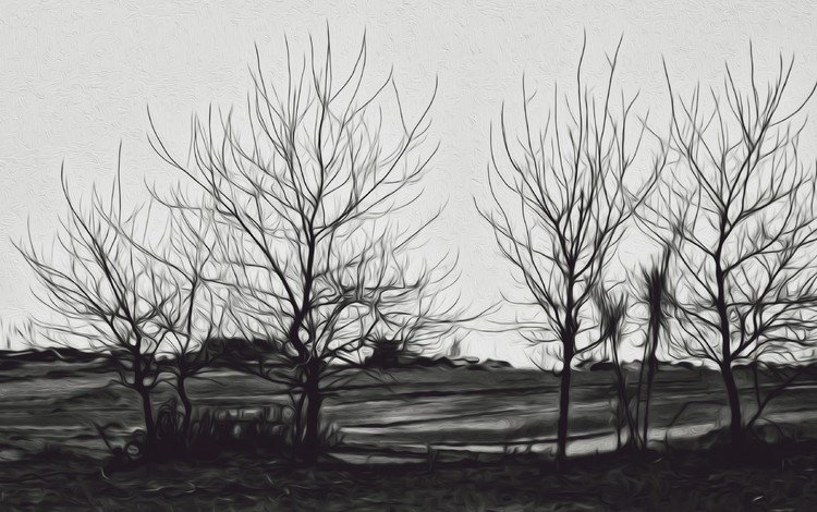 деревья, пейзаж, чёрно-белое, силуэты, trees, landscape, black and white, silhouettes