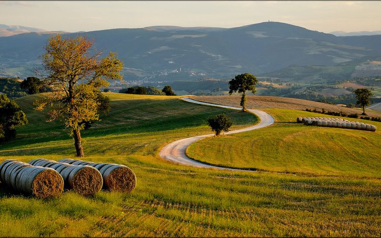 дорога, трава, деревья, холмы, поле, сено, италиа, road, grass, trees, hills, field, hay, italia